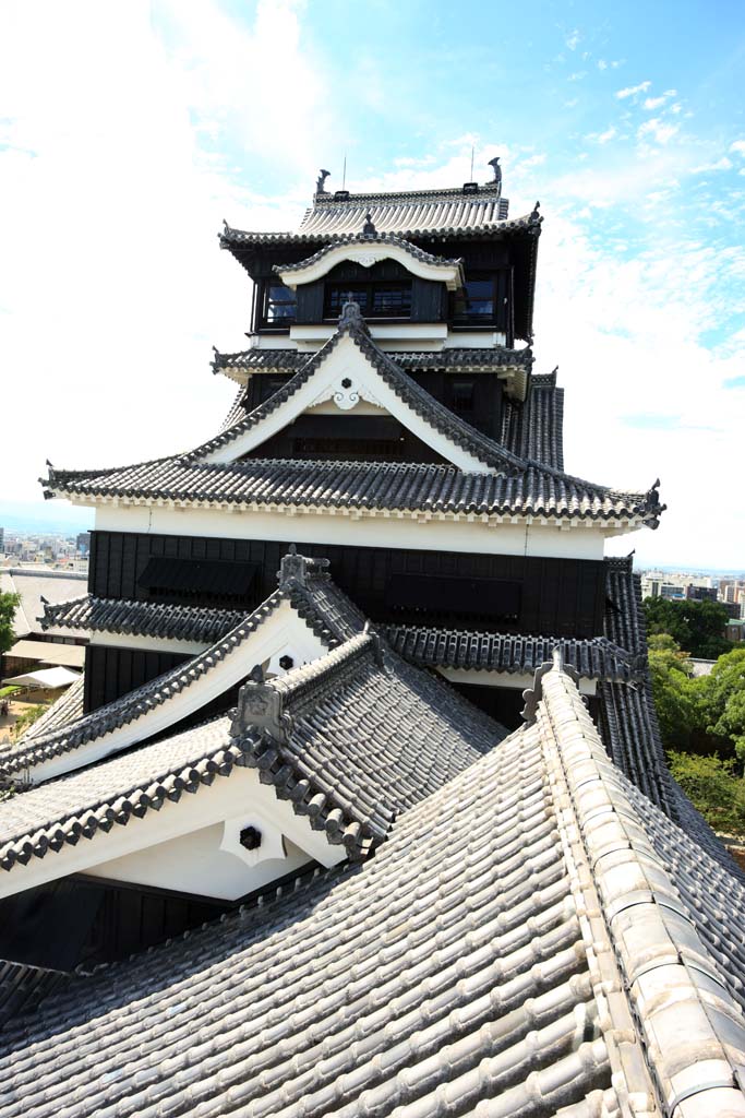 photo,material,free,landscape,picture,stock photo,Creative Commons,At Kumamoto Castle, , , , 