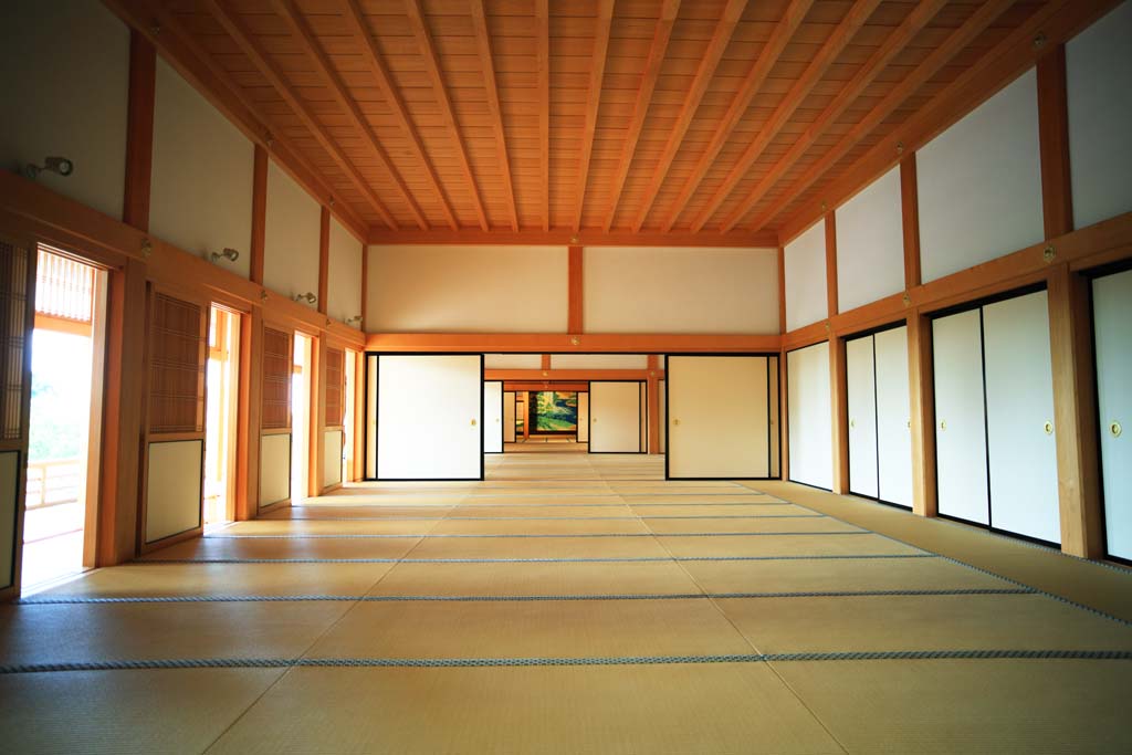 foto,tela,gratis,paisaje,fotografa,idea,En el castillo de Kumamoto, , , , 