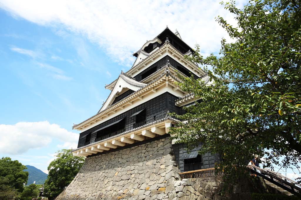 fotografia, material, livra, ajardine, imagine, proveja fotografia,Em Kumamoto Castle, , , , 