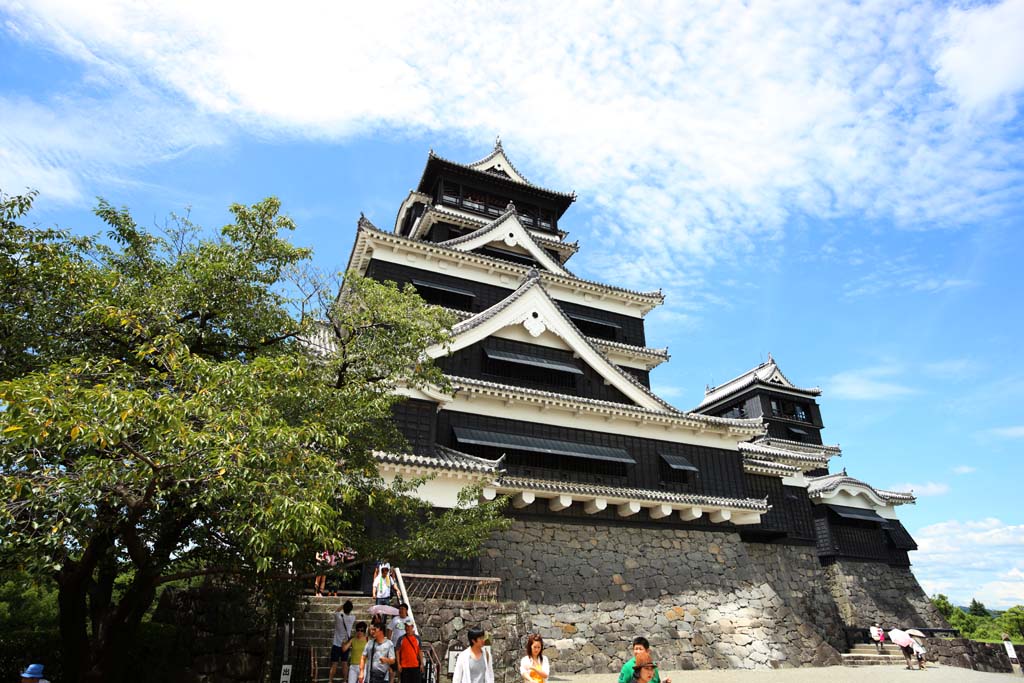 fotografia, materiale, libero il panorama, dipinga, fotografia di scorta,Al Castello di Kumamoto, , , , 