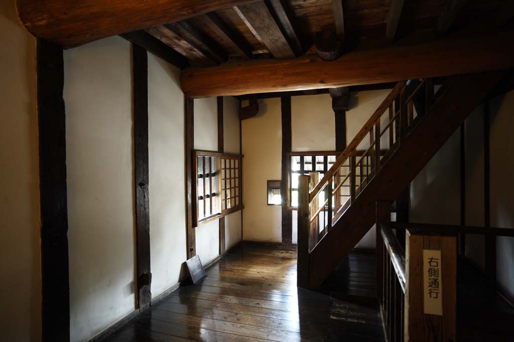 Foto, materiell, befreit, Landschaft, Bild, hat Foto auf Lager,In Kumamoto Castle, , , , 