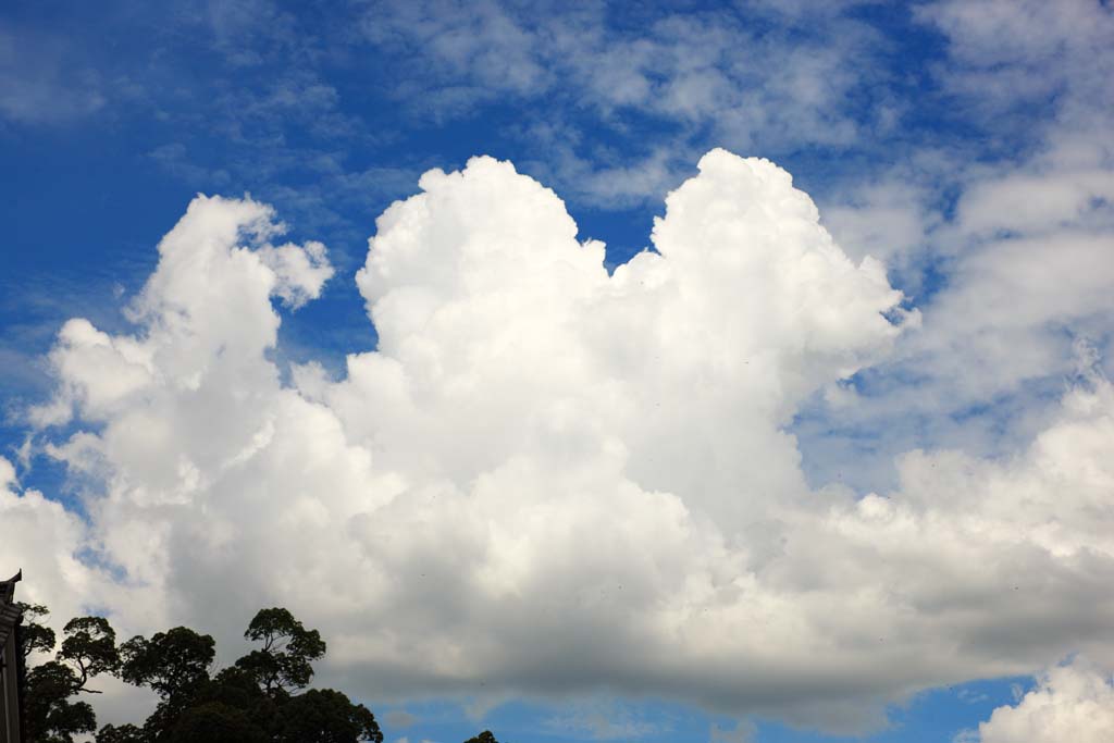 photo,material,free,landscape,picture,stock photo,Creative Commons,Summer clouds, , , , 