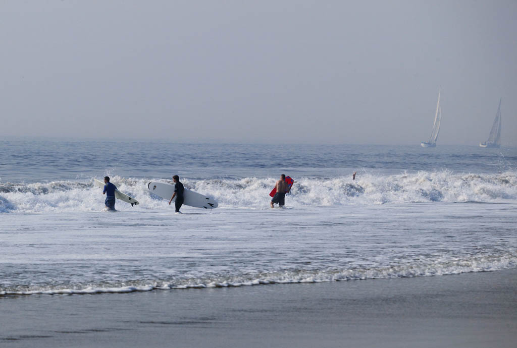 photo,material,free,landscape,picture,stock photo,Creative Commons,Surfers' challenge, surfing, wave, sea, surfboard