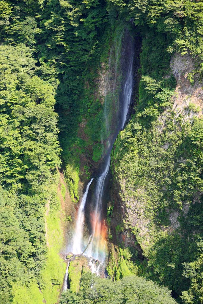 Foto, materieel, vrij, landschap, schilderstuk, bevoorraden foto,Waterval Quake Medaki, , , , 