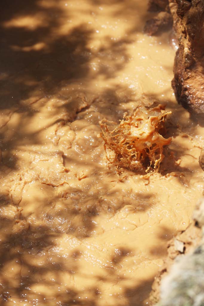 الصورة,المادة,حرر,منظر للطبيعة,جميل,صور,Kamado الجحيم, , , , 