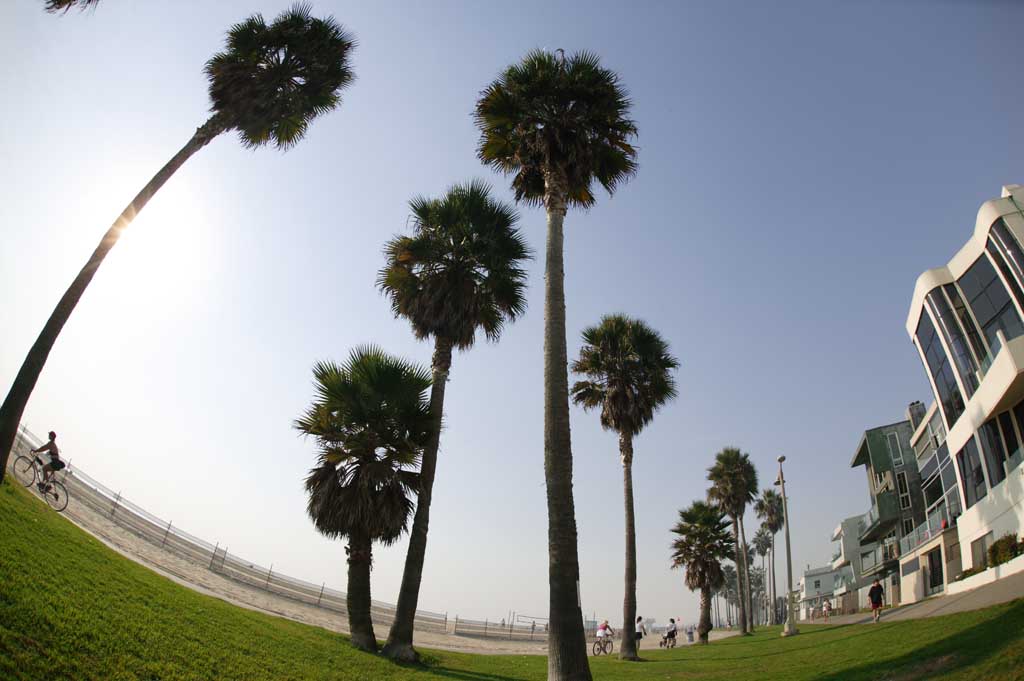 Foto, materiell, befreit, Landschaft, Bild, hat Foto auf Lager,Langer Strandurlaubsort, sandiges Ufer, Rasen, Sand, Urlaubsort