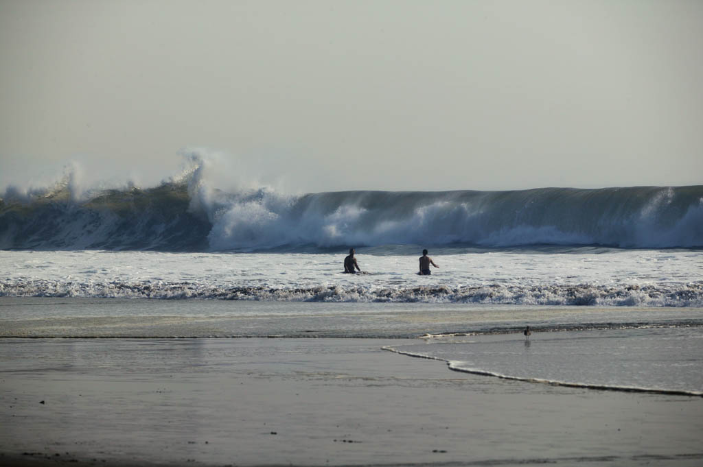 photo, la matire, libre, amnage, dcrivez, photo de la rserve,Grand beachcomber, rivage sablonneux, vague, grandes vagues, plage balnaire