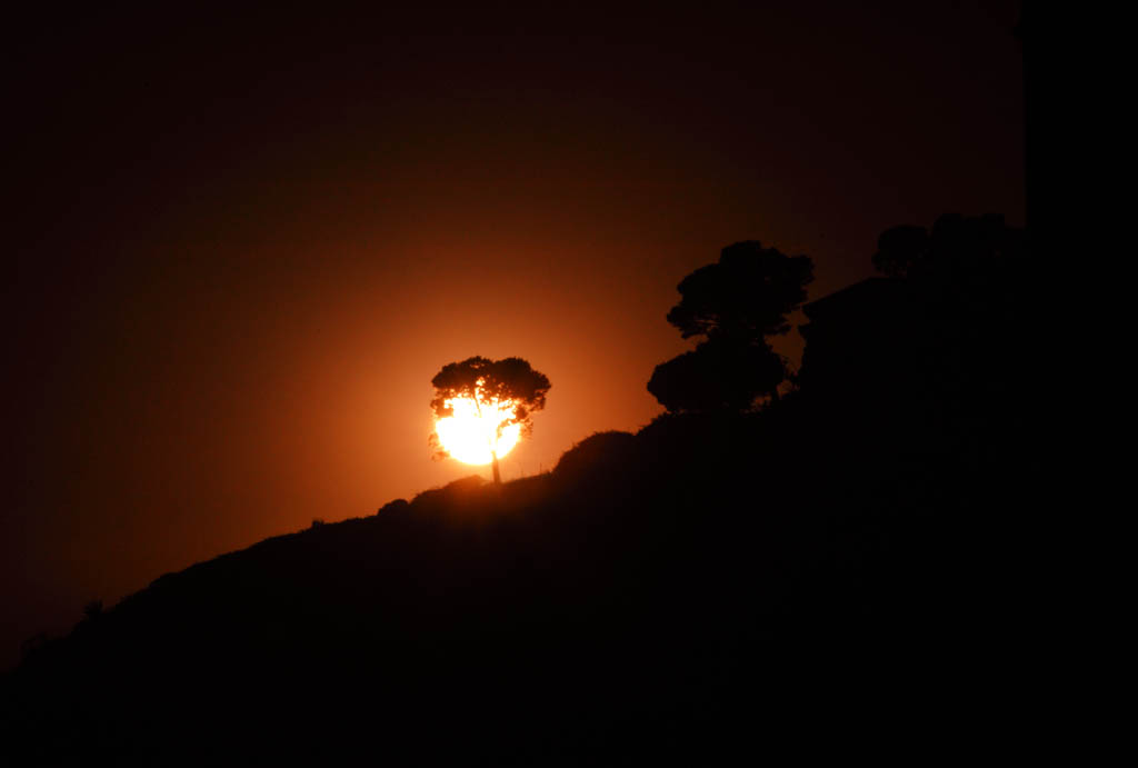 Foto, materieel, vrij, landschap, schilderstuk, bevoorraden foto,Boom die doorbrandt te avond zon, De zon, De instelling zon, , 