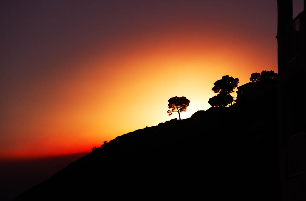 photo,material,free,landscape,picture,stock photo,Creative Commons,Burning evening glow, sunset, The setting sun, tree, silhouette