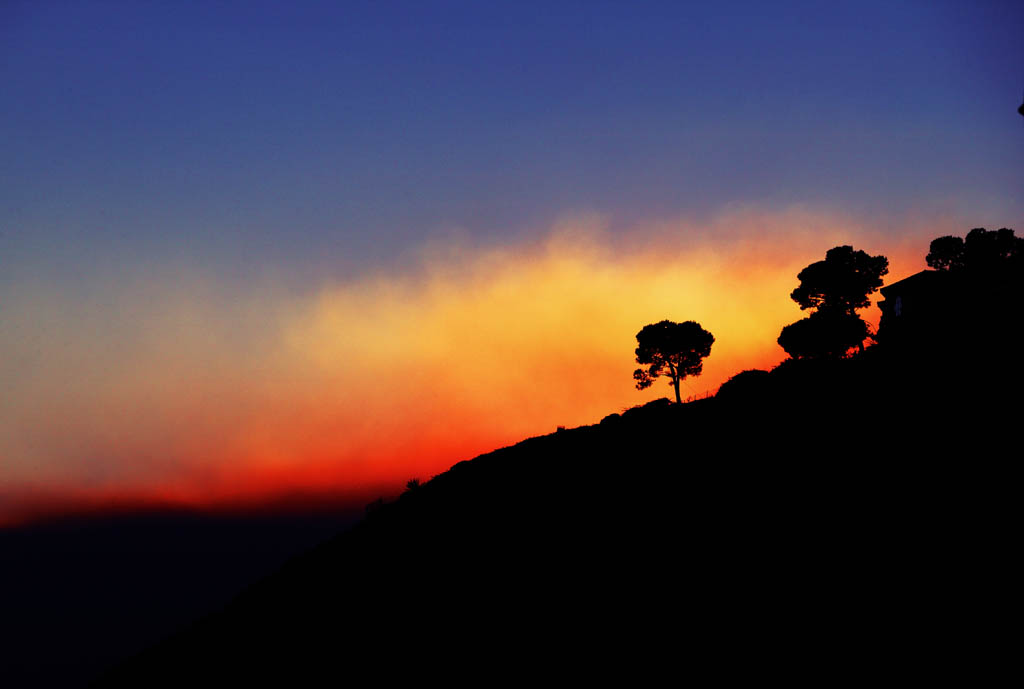 photo,material,free,landscape,picture,stock photo,Creative Commons,Smoke in evening, Smoke, The setting sun, tree, silhouette