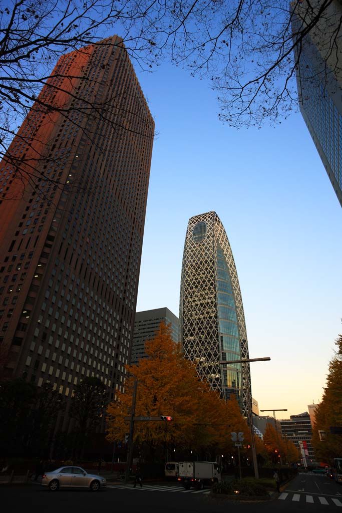 fotografia, materiale, libero il panorama, dipinga, fotografia di scorta,Shinjuku alto edificio di crepuscolo, , , , 