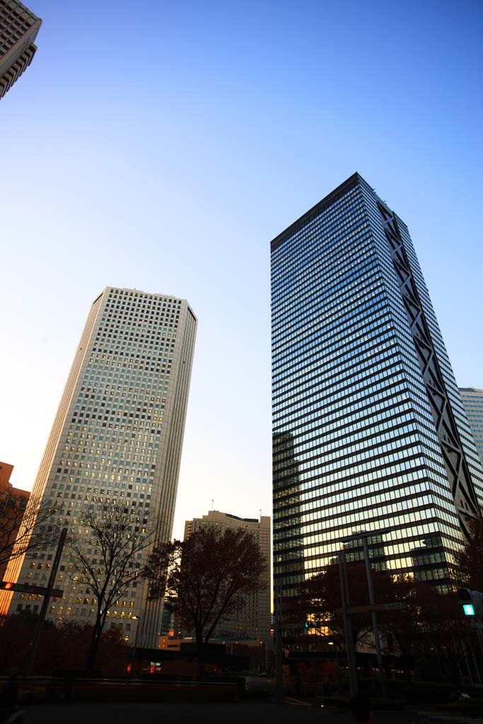 foto,tela,gratis,paisaje,fotografa,idea,Shinjuku edificio alto del anochecer, , , , 