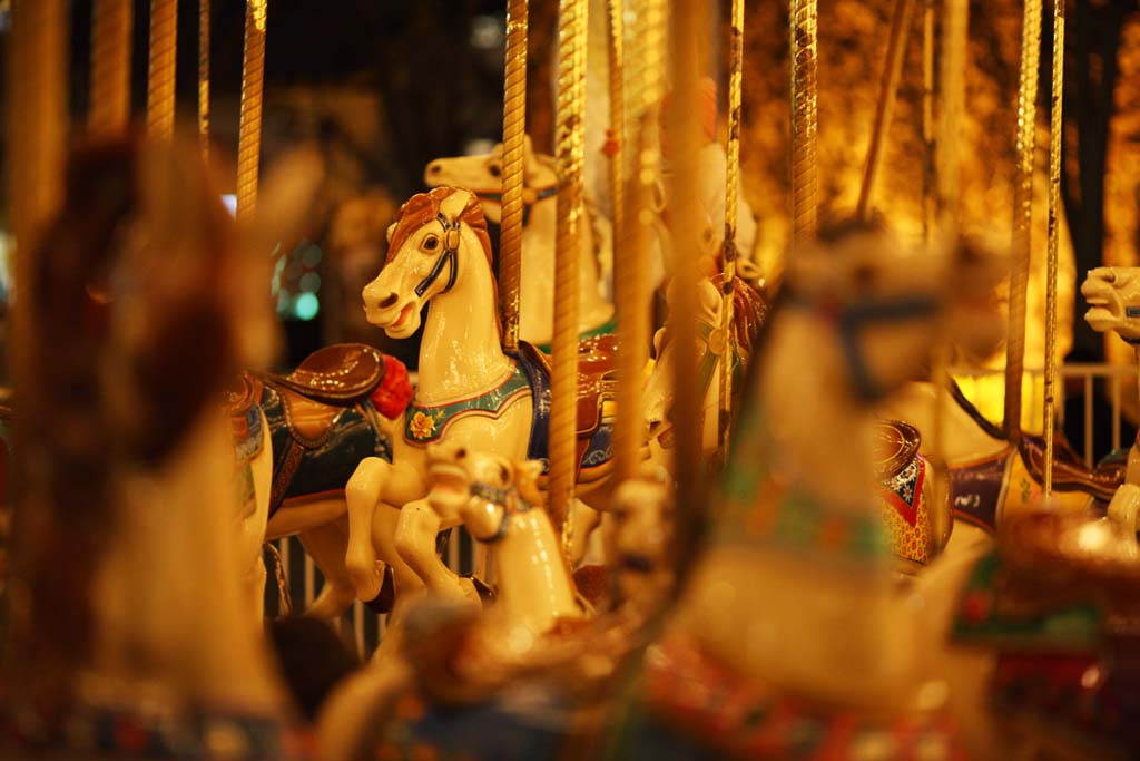 photo,material,free,landscape,picture,stock photo,Creative Commons,Merry-go-round, , , , 