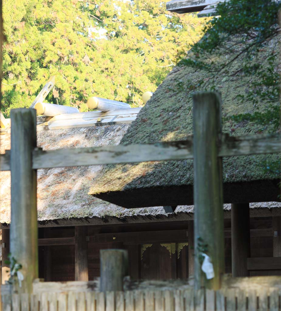 Foto, materiell, befreit, Landschaft, Bild, hat Foto auf Lager,Ise Jingu geku, , , , 