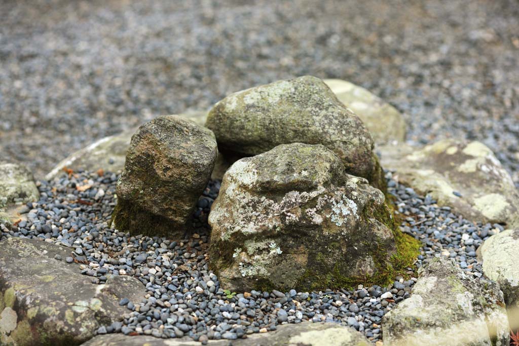 fotografia, materiale, libero il panorama, dipinga, fotografia di scorta,Ise Jingu Geku, , , , 