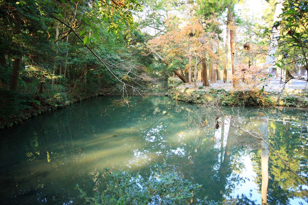 Foto, materieel, vrij, landschap, schilderstuk, bevoorraden foto,Ise Jingu Geku, , , , 