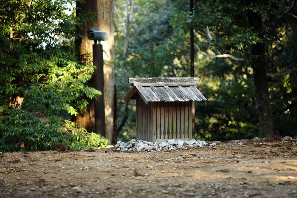 fotografia, materiale, libero il panorama, dipinga, fotografia di scorta,Ise Jingu Geku, , , , 