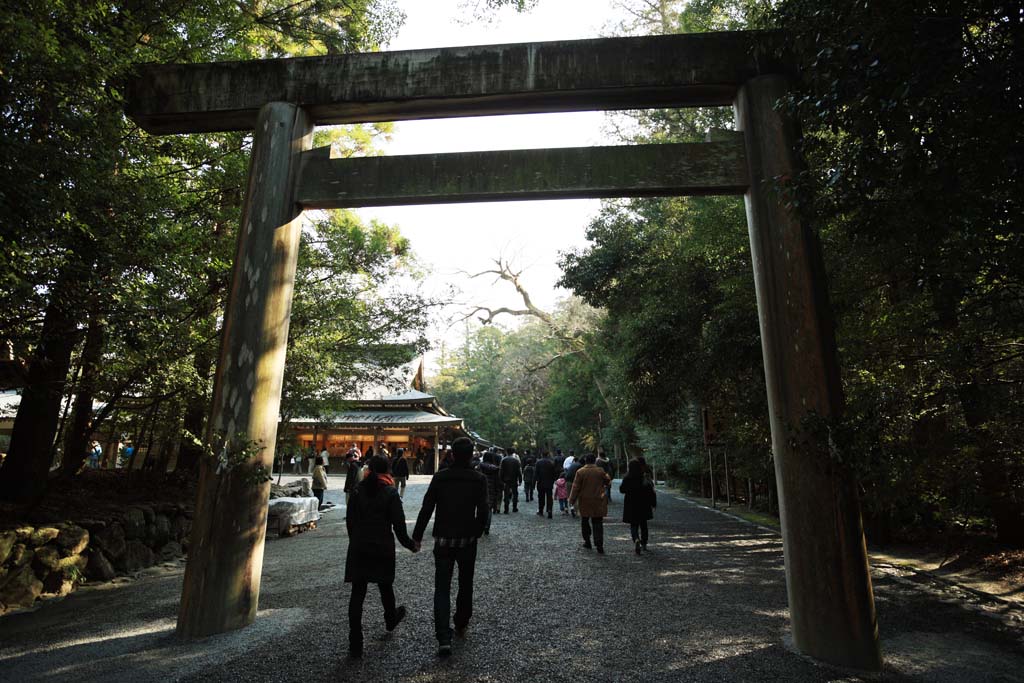 photo,material,free,landscape,picture,stock photo,Creative Commons,The inner shrine of Ise, , , , 