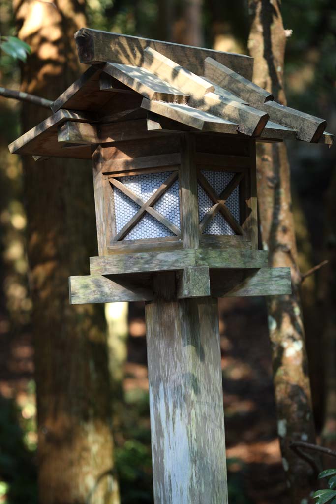 photo,material,free,landscape,picture,stock photo,Creative Commons,The inner shrine of Ise, , , , 