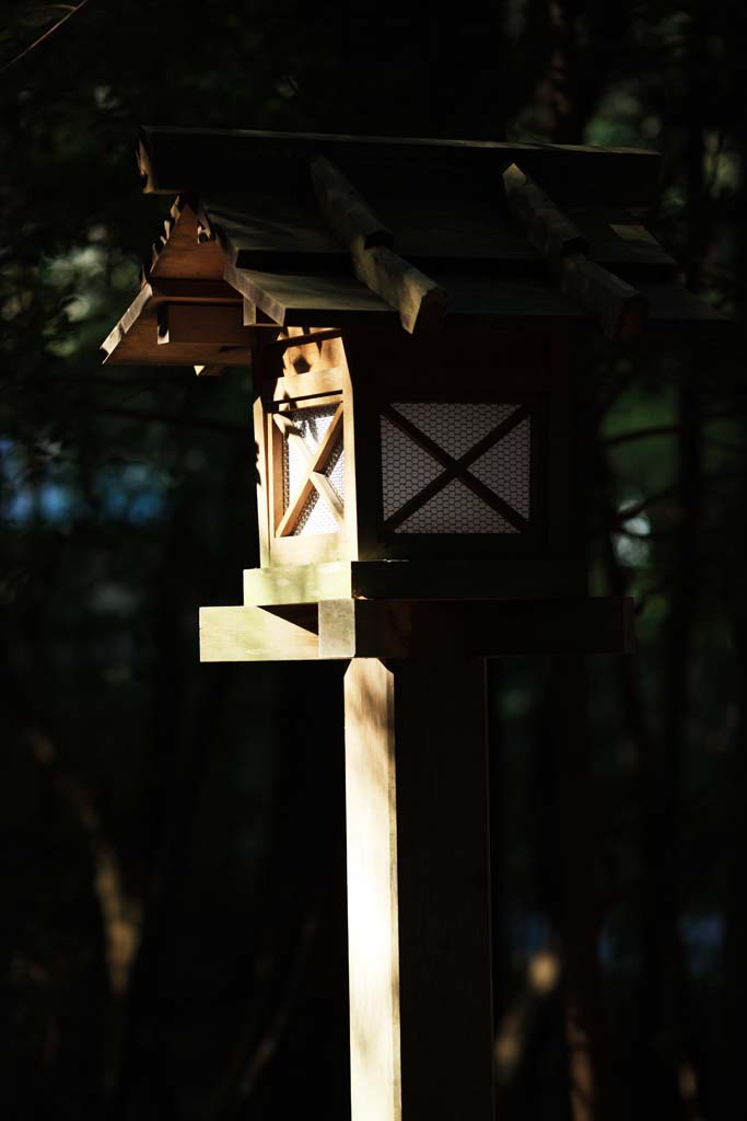 photo,material,free,landscape,picture,stock photo,Creative Commons,The inner shrine of Ise?Lantern, , , , 