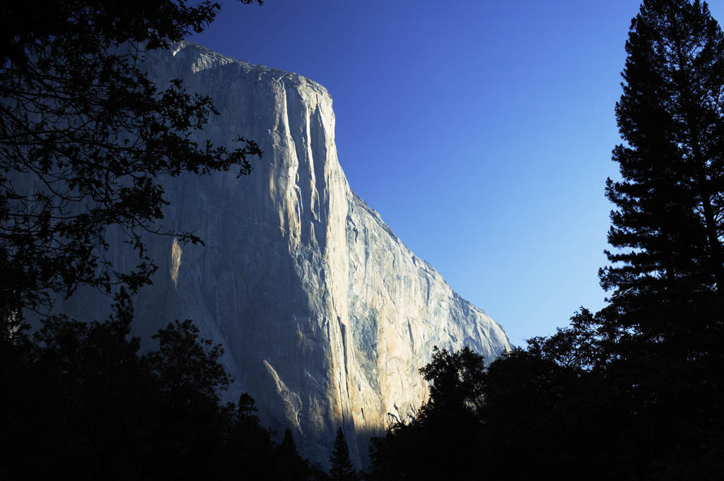 photo,material,free,landscape,picture,stock photo,Creative Commons,El Capitan, cliff, rock, Granite, Rock-climbing