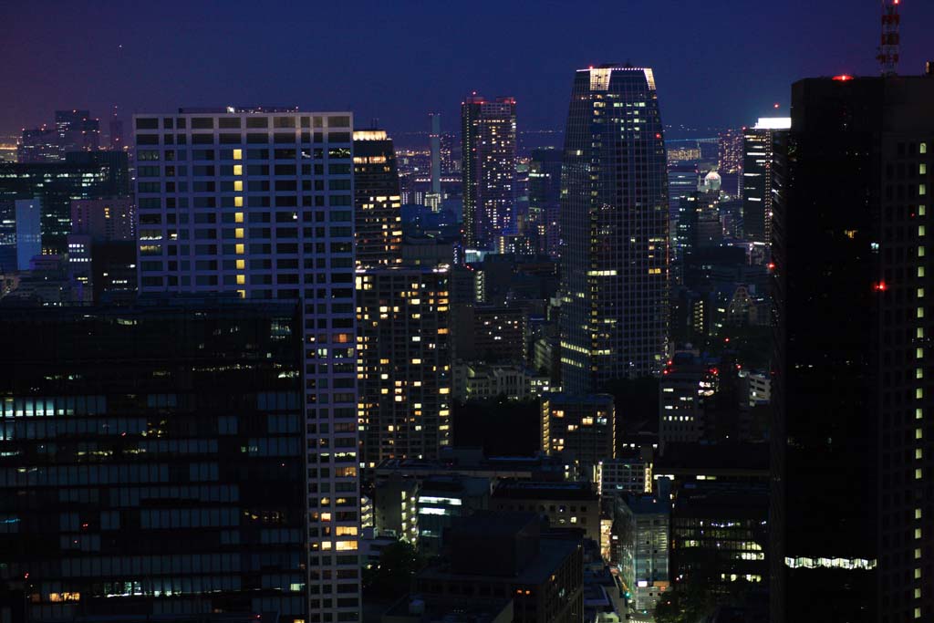 photo,material,free,landscape,picture,stock photo,Creative Commons,Tokyo nightscape, , , , 