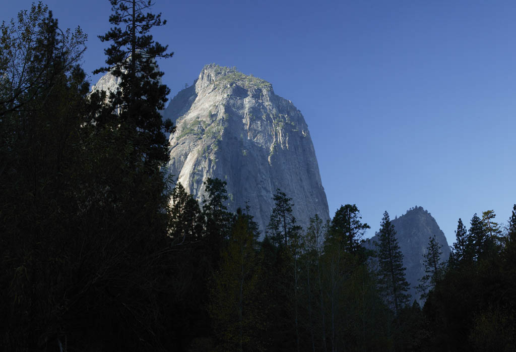 photo,material,free,landscape,picture,stock photo,Creative Commons,Cliff, cliff, rock, Granite, big tree