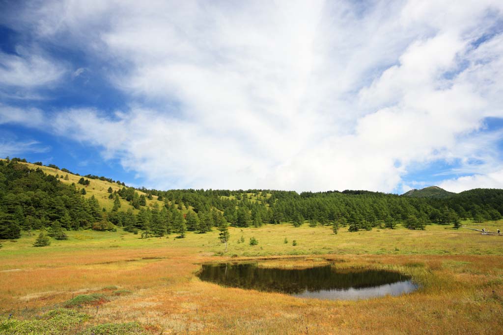 Foto, materieel, vrij, landschap, schilderstuk, bevoorraden foto,Takamine Kougen van ikenohira moor, , , , 