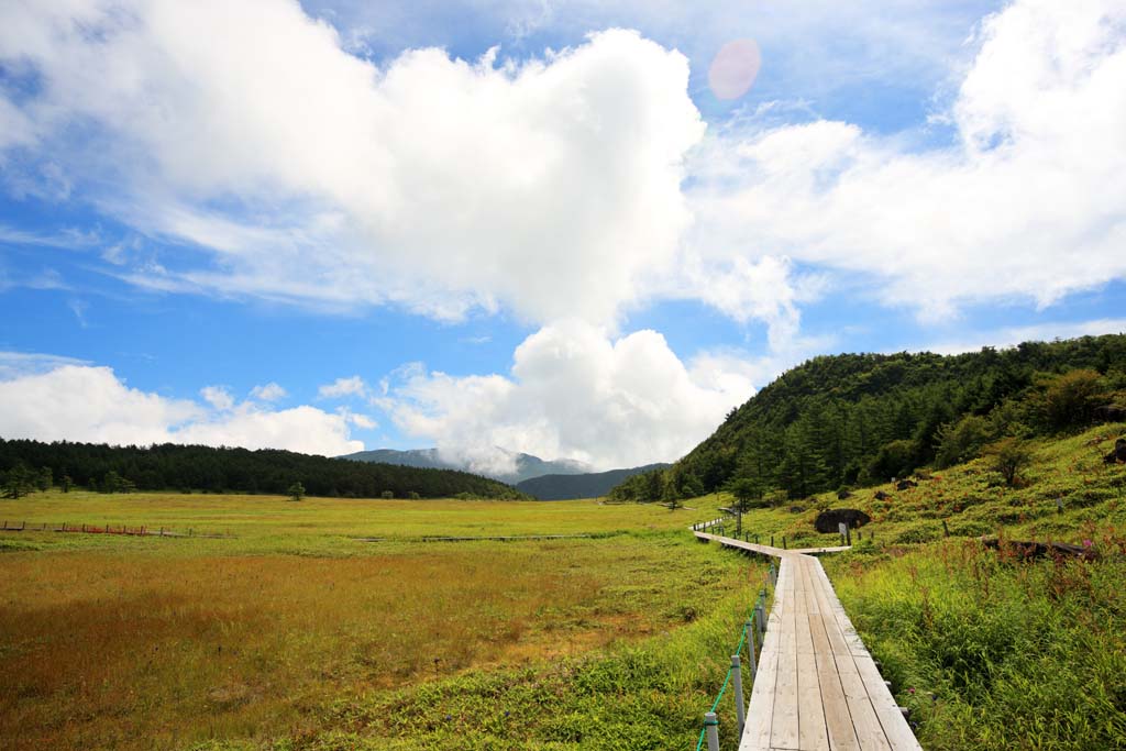 Foto, materiell, befreit, Landschaft, Bild, hat Foto auf Lager,Takamine Kougen von ikenohira Moor, , , , 