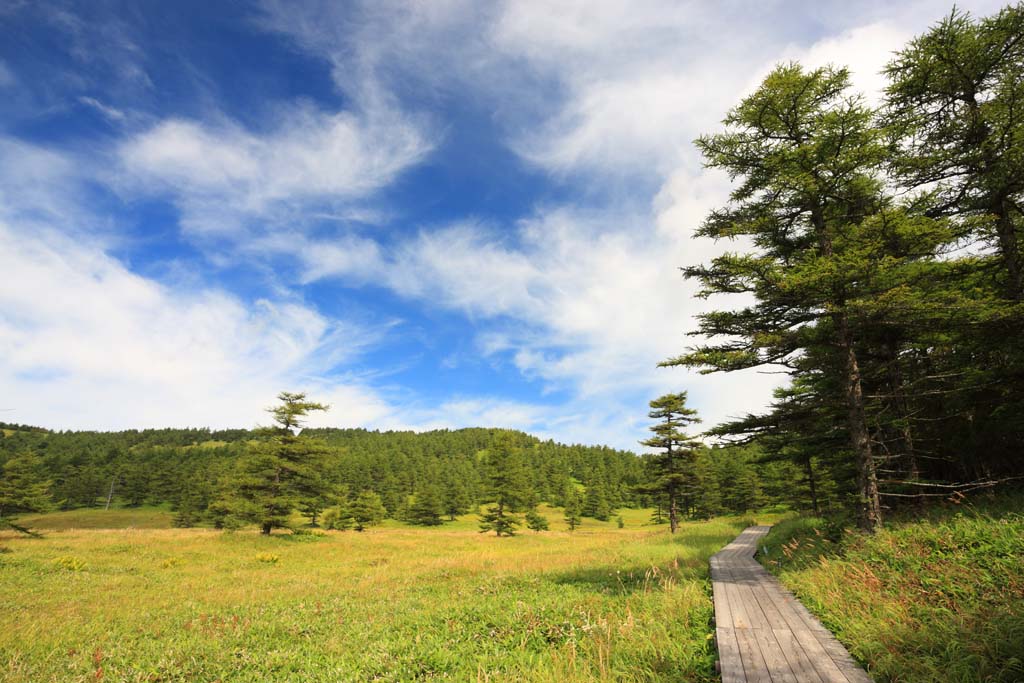 Foto, materiell, befreit, Landschaft, Bild, hat Foto auf Lager,Takamine Kougen von ikenohira Moor, , , , 