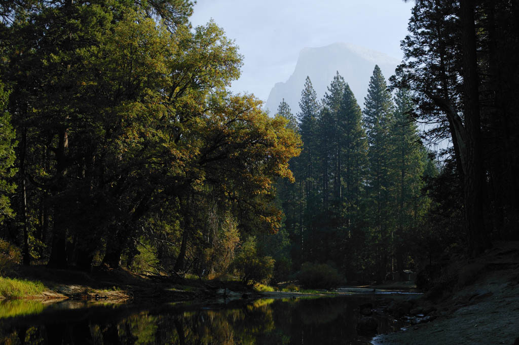 fotografia, materiale, libero il panorama, dipinga, fotografia di scorta,Il vicinato quieto di fiume di mattina, fiume, pietra, foresta, La superficie dell'acqua