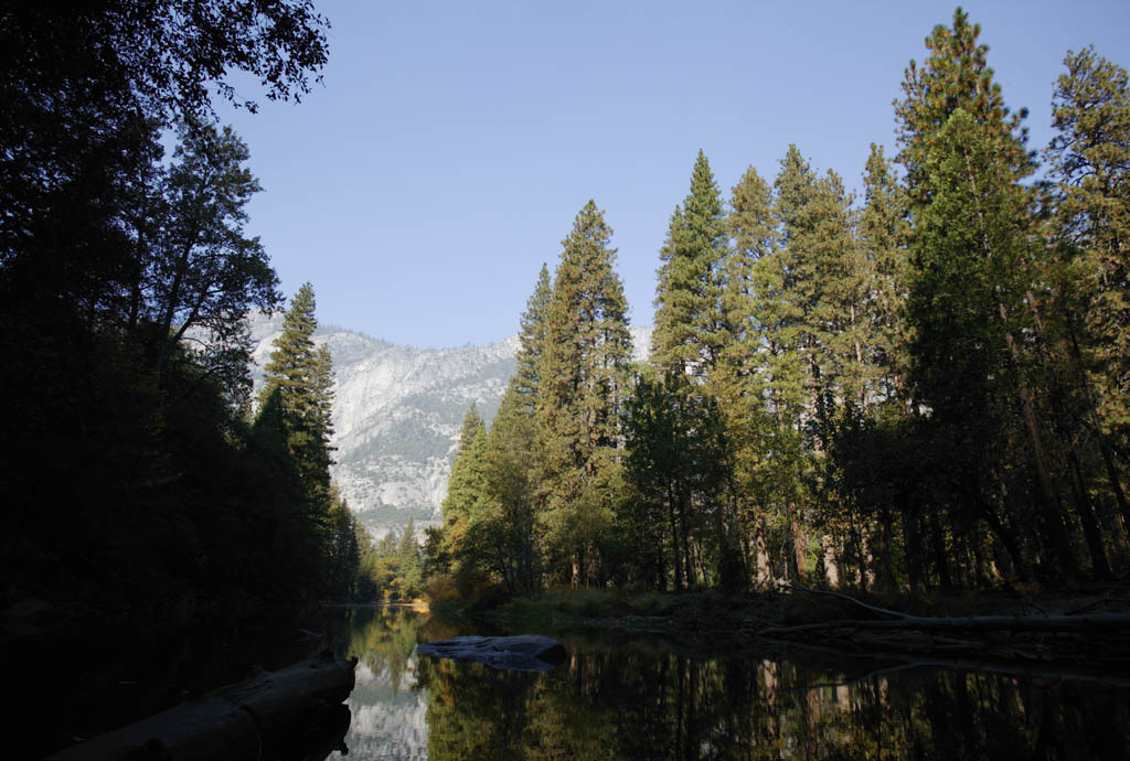 photo,material,free,landscape,picture,stock photo,Creative Commons,The quiet vicinity of river of morning, river, rock, forest, The surface of the water