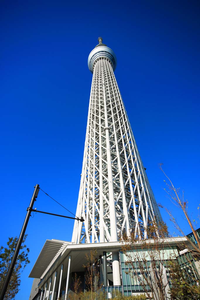 fotografia, materiale, libero il panorama, dipinga, fotografia di scorta,Sky Tree, , , , 