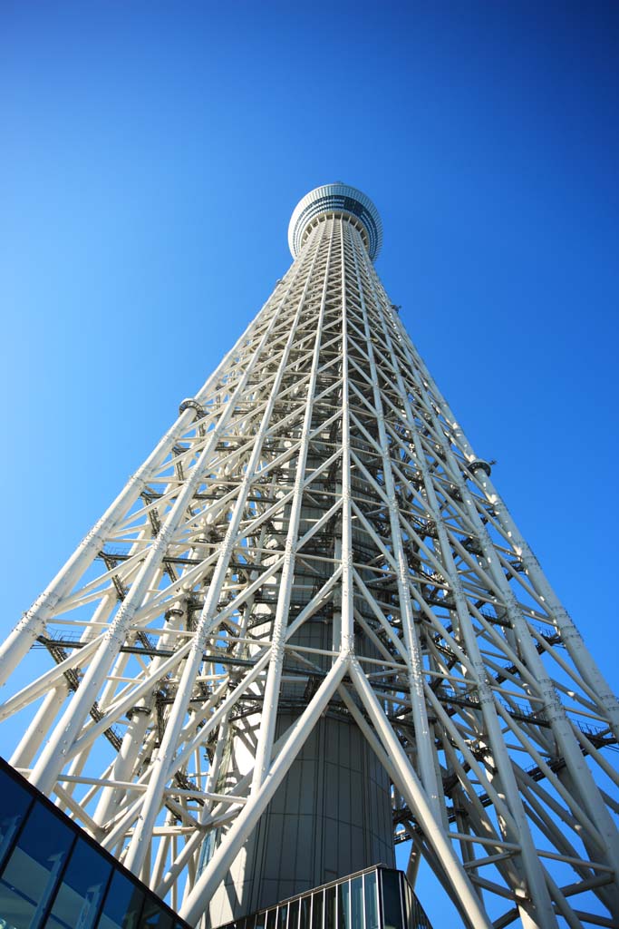 Foto, materiell, befreit, Landschaft, Bild, hat Foto auf Lager,Sky Tree, , , , 