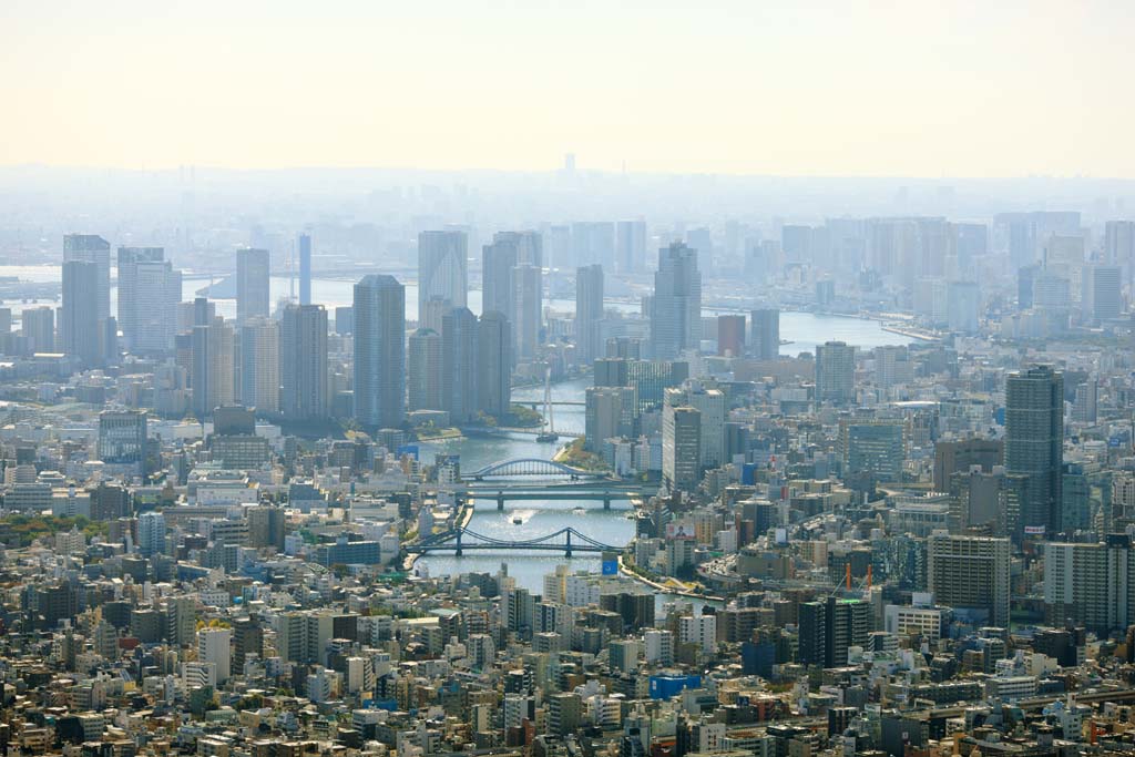 fotografia, materiale, libero il panorama, dipinga, fotografia di scorta,Tokyo panoramica, , , , 