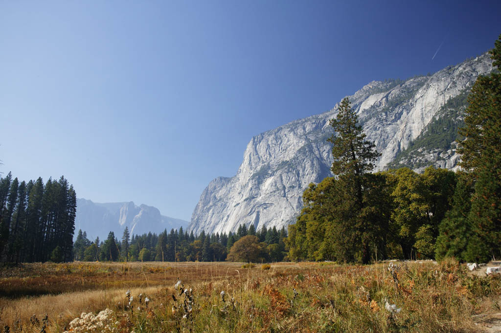 photo,material,free,landscape,picture,stock photo,Creative Commons,Yosemite volleyball, grassy plain, rock, cliff, tree