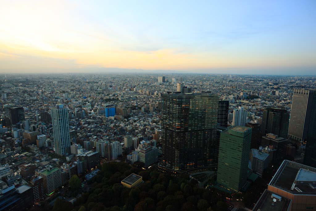 photo,material,free,landscape,picture,stock photo,Creative Commons,Shinjuku evening scene, , , , 