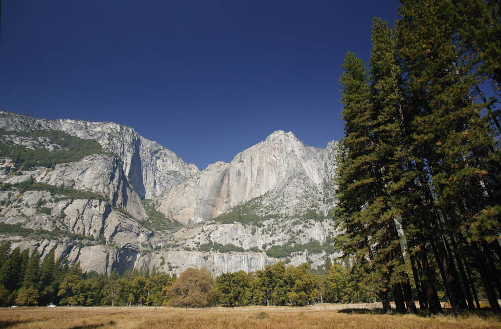 fotografia, materiale, libero il panorama, dipinga, fotografia di scorta,Guarda su alla rupe. , rupe, pietra, foresta, albero