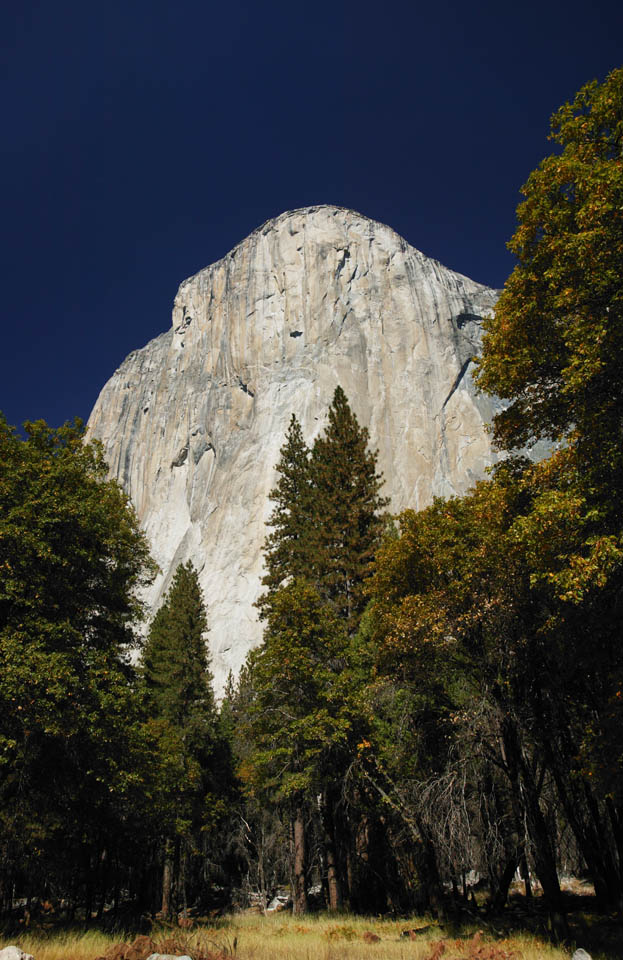 photo,material,free,landscape,picture,stock photo,Creative Commons,It looks up at the cliff. , cliff, rock, forest, tree