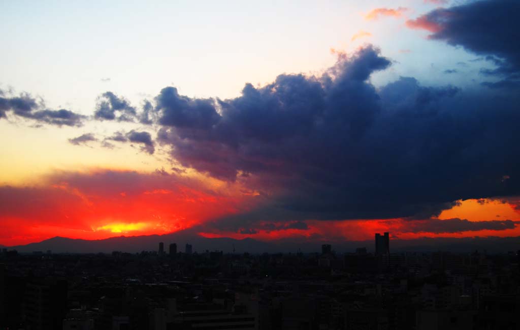 Foto, materieel, vrij, landschap, schilderstuk, bevoorraden foto,Tokyo Zonsondergang, , , , 