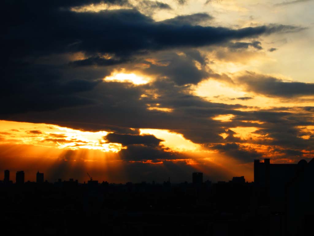 photo,material,free,landscape,picture,stock photo,Creative Commons,Tokyo Sunset, , , , 
