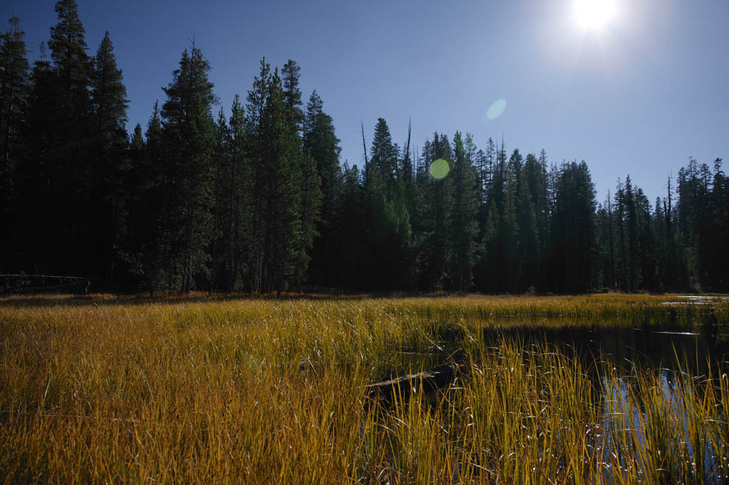 Foto, materiell, befreit, Landschaft, Bild, hat Foto auf Lager,Oase in trockenem Plateau, Baum, Teich, Wald, Grass