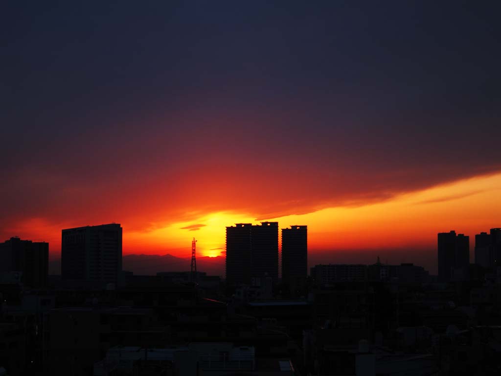 photo,material,free,landscape,picture,stock photo,Creative Commons,Tokyo Sunset, , , , 
