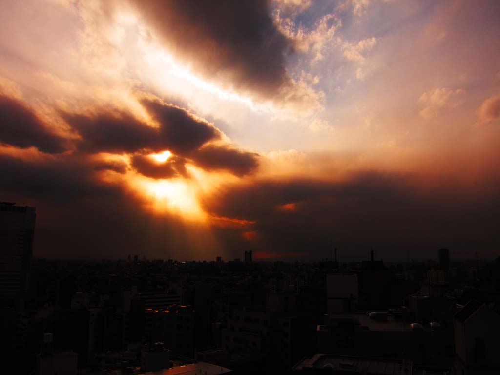 photo, la matire, libre, amnage, dcrivez, photo de la rserve,Tokyo Sunset, , , , 