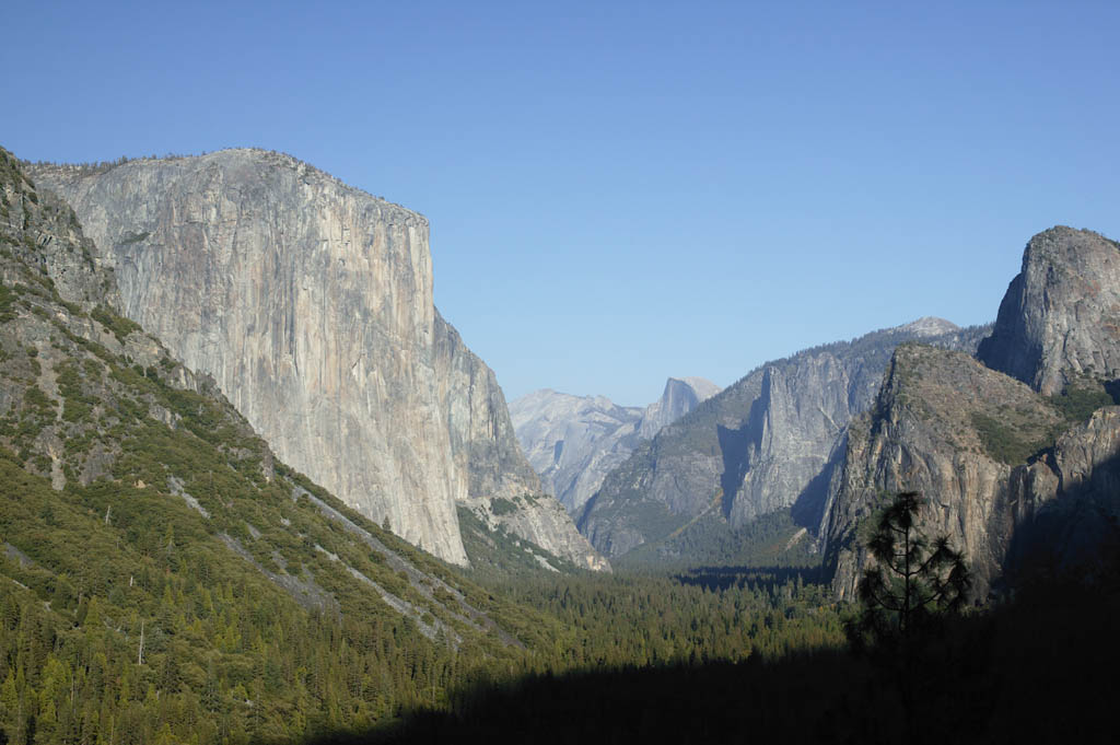 Foto, materieel, vrij, landschap, schilderstuk, bevoorraden foto,Yosemite volleyball, Boom, Granieten, Woud, Stenig
