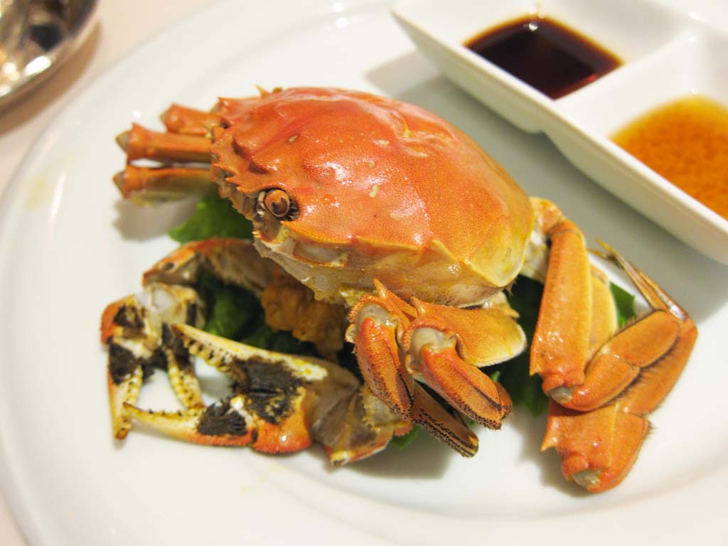 photo,material,free,landscape,picture,stock photo,Creative Commons,Shanghai Crab, , , , 