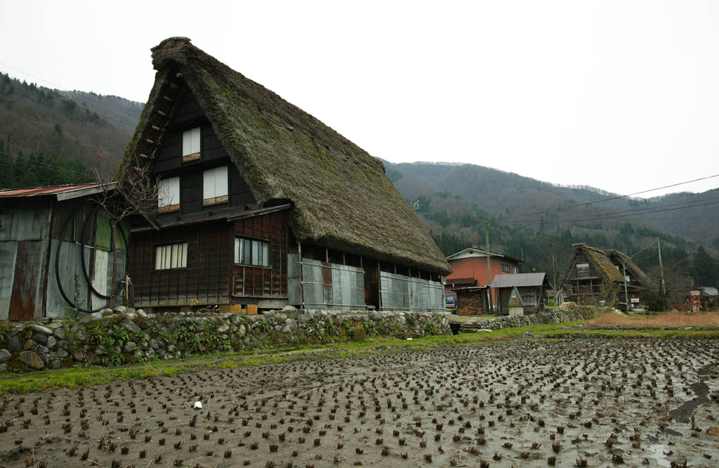 Foto, materieel, vrij, landschap, schilderstuk, bevoorraden foto,Het is een aansluiting het hands in de gebed vervaardiging in de rijst veld. , Architectuur met hoofd ridgepole, Thatching, Particulier huis, Landelijk landschap