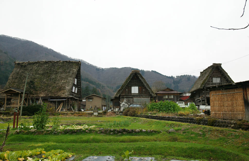 Foto, materieel, vrij, landschap, schilderstuk, bevoorraden foto,Particulier huis van de aansluiting hands van het men in de gebed vervaardiging, Architectuur met hoofd ridgepole, Thatching, Particulier huis, Landelijk landschap