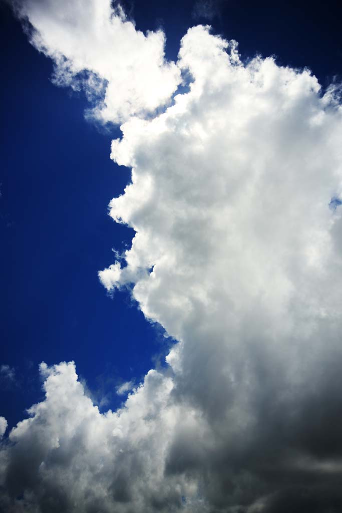 photo,material,free,landscape,picture,stock photo,Creative Commons,Summer Clouds, , , , 