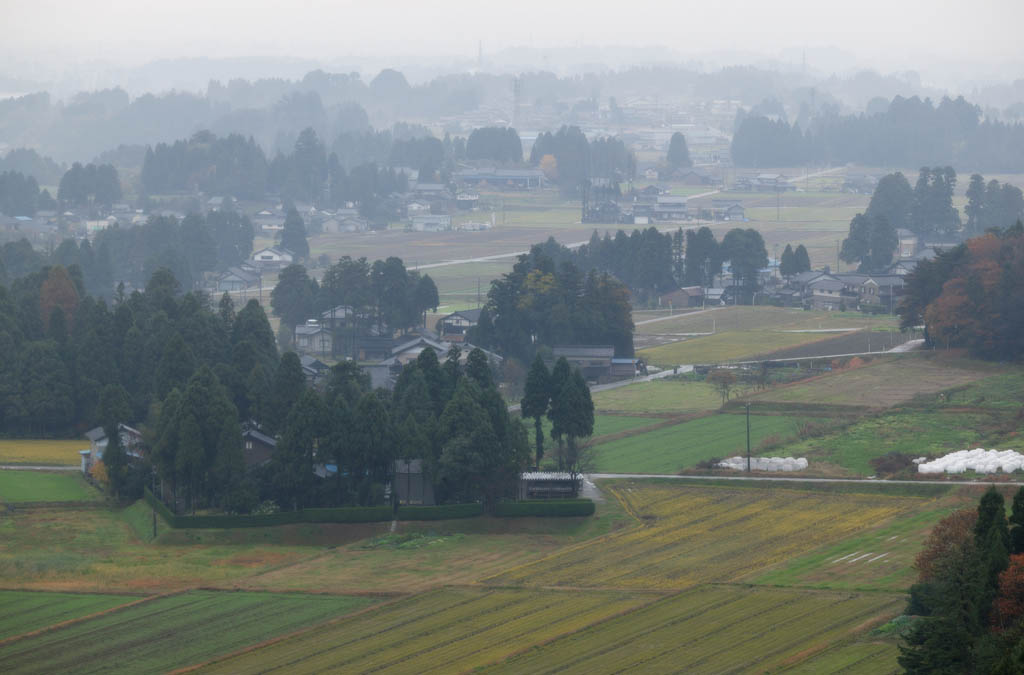 foto,tela,gratis,paisaje,fotografa,idea,Pueblo de la granja en Asaka, Pueblo de la granja, Campo, Casa confidencial, Bosque de barrera contra el viento